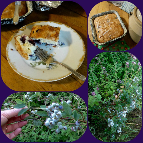 Blueberry Article_sm
