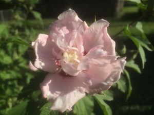 this one's winding down