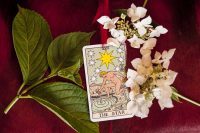 Weekly Astro Tarot Forecast September 12