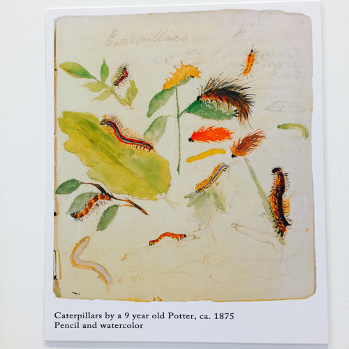 beatrixpoetter1875
