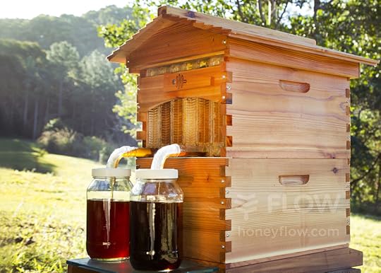 flow-hive