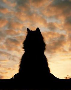 1097962_10153069323785417_2018451710_n