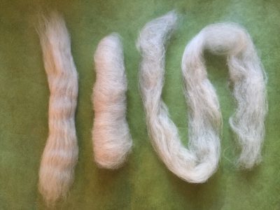 From left: top, carded rolag and pulled roving.