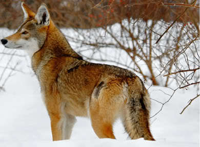 photo famly_zpssy8buetq.jpg