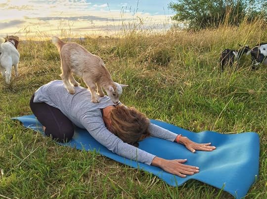 goat yoga