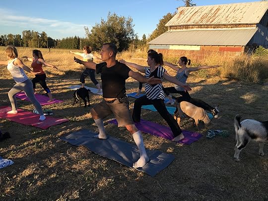 goat yoga