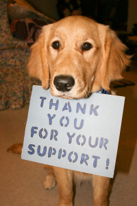 thanksdog