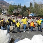 Trailing of the Sheep