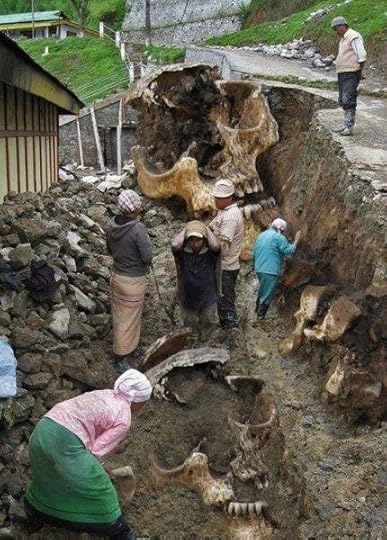 Giant skeletons found in Equador