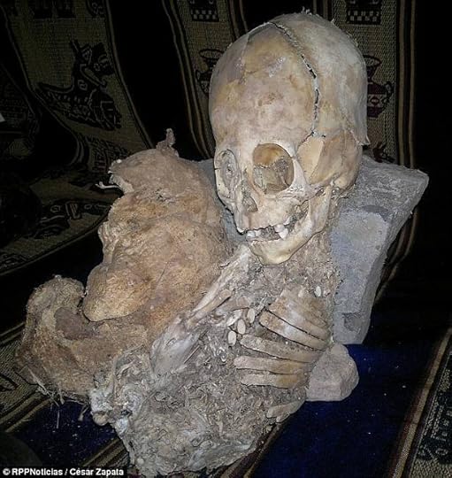 Elongated skull found in Peru.