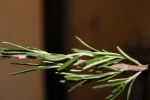 creative-provocation-photos-13