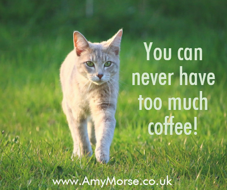 coffee kitty 4
