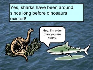 sharkasaurs
