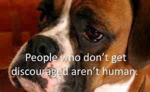 discouragedog