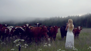 kulning-swedish-ancient-herding-call-girl-funny-cows