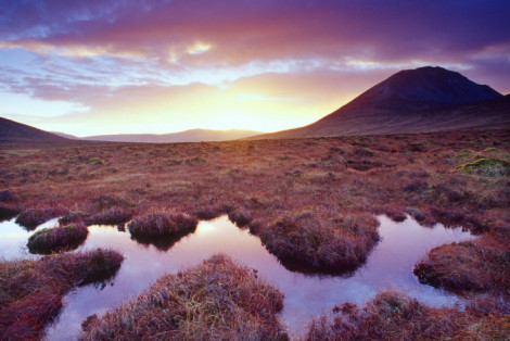 Bog pool beneath Errigal Mountain, County Donegal, Ireland. Photo by Gareth McCormack.