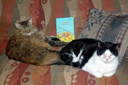 Kwahe'e and Keladry Curl up with a Good Book