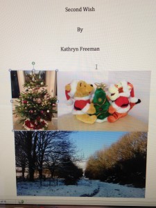 Temporary cover...I hope 