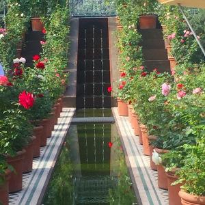 At the Institut du Monde Arabe, an exhibition of eastern landscaping traditions is accompanied by this garden purpose-built on the hard Paris pavements. Roses, olives, citrus, herbs - and at its heart, water. Always water.