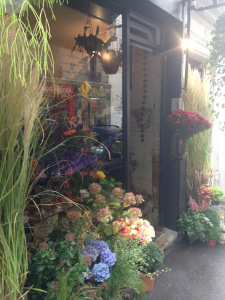 Another style of street garden - and these lovely plants you can take away with you, if you can bear to disturb the display!