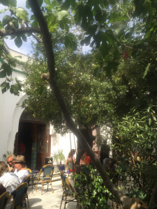 Tucked away behind Grande Mosquée de Paris is this charming little courtyard garden. The hot mint tea is fresh and sweet, and the sunshine's free.