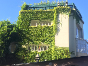 Not a lot of ground for a home garden? Not a problem!