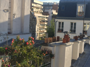 And finally, when you're done tramping the streets and parks and gardens and metros of Paris, it's delicious to come home to an apartment balcony with your own little plot of paradise!
