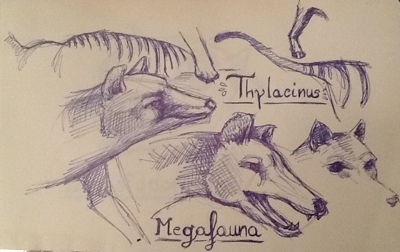 thylacine-sketch-for-sascha-martins-time-machine-400