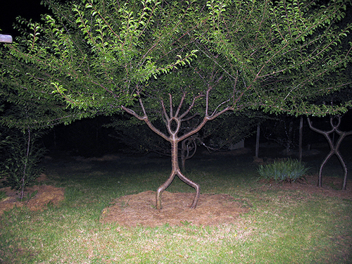 Person-tree.jpg