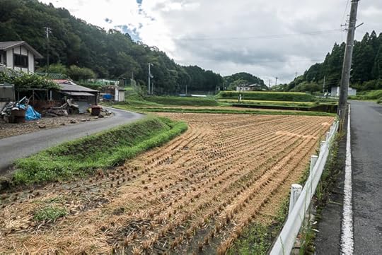 Across the Street harvest likely just finished -- Otsu, Shiga, Japan -- Copyright 2016 Jeffrey Friedl, http://regex.info/blog/