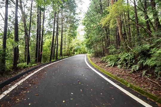 Lovely Road Surface though areas of wet moss would raise caution on a descent -- Tsuzuki-gun -- Tsuzuki-gun, Kyoto, Japan -- Copyright 2016 Jeffrey Friedl, http://regex.info/blog/