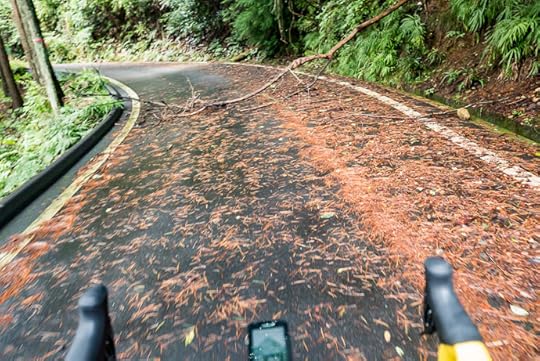 Effects of the Storm apparently I'm the first to use this road since last night -- Tsuzuki-gun -- Tsuzuki-gun, Kyoto, Japan -- Copyright 2016 Jeffrey Friedl, http://regex.info/blog/
