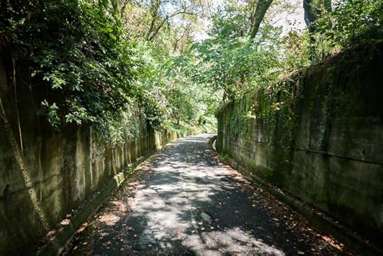 Tunnel Vision -- Uji, Kyoto, Japan -- Copyright 2016 Jeffrey Friedl, http://regex.info/blog/