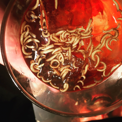 Mr Twit���s Dirty Negroni
