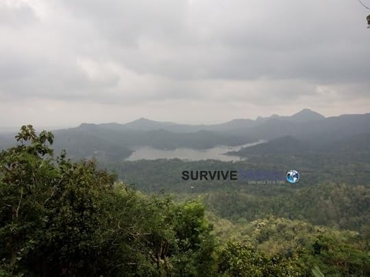 Kalibiru National Park Review - Viewpoint - Survive Travel