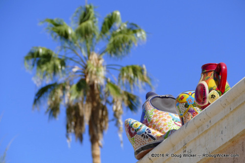 Study in Color and Depth-of-Field