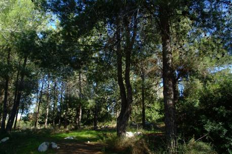 ben-shemen1-by-avi-hayun