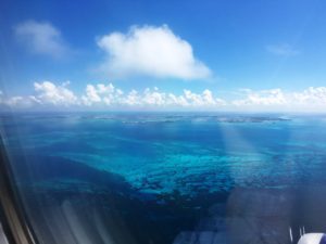 img_1249