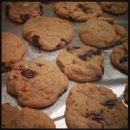 css29pmuaaepnb8-jpg-large