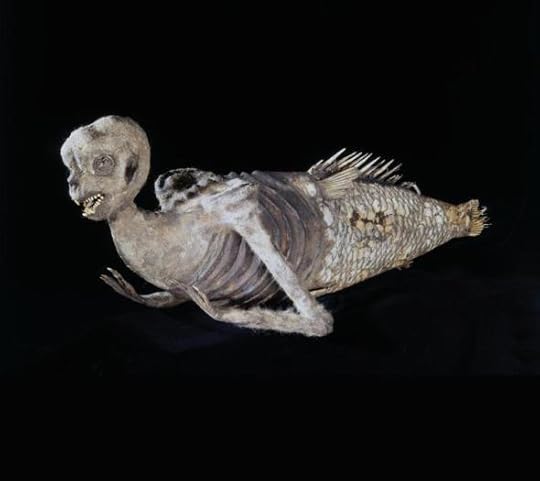 feejee-mermaid