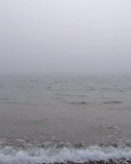 Fog