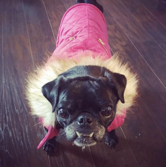 screen-shot-2016-09-16-at-2-19-00-pm