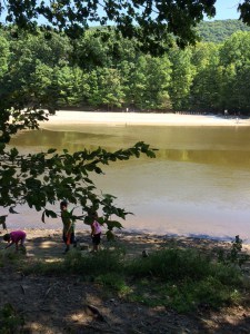 Col Denning Park Lake