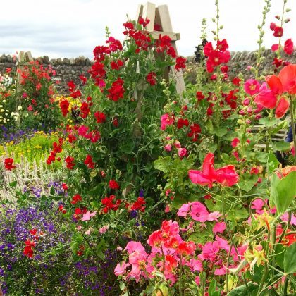 The gardens at Lindisfarne Castle in Northumberland. Yup - even gardens can count as research!