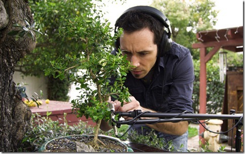 bonsai music