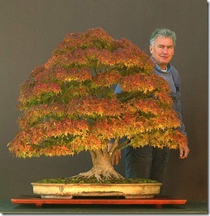 walter pall acer