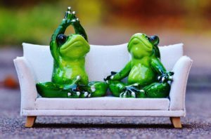 frog friends on couch