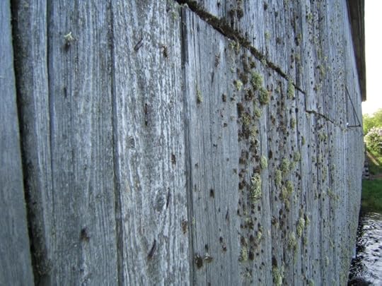 trip to Benton 2015 064