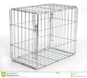 cathedrals-and-cages-2