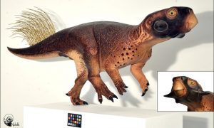 2953